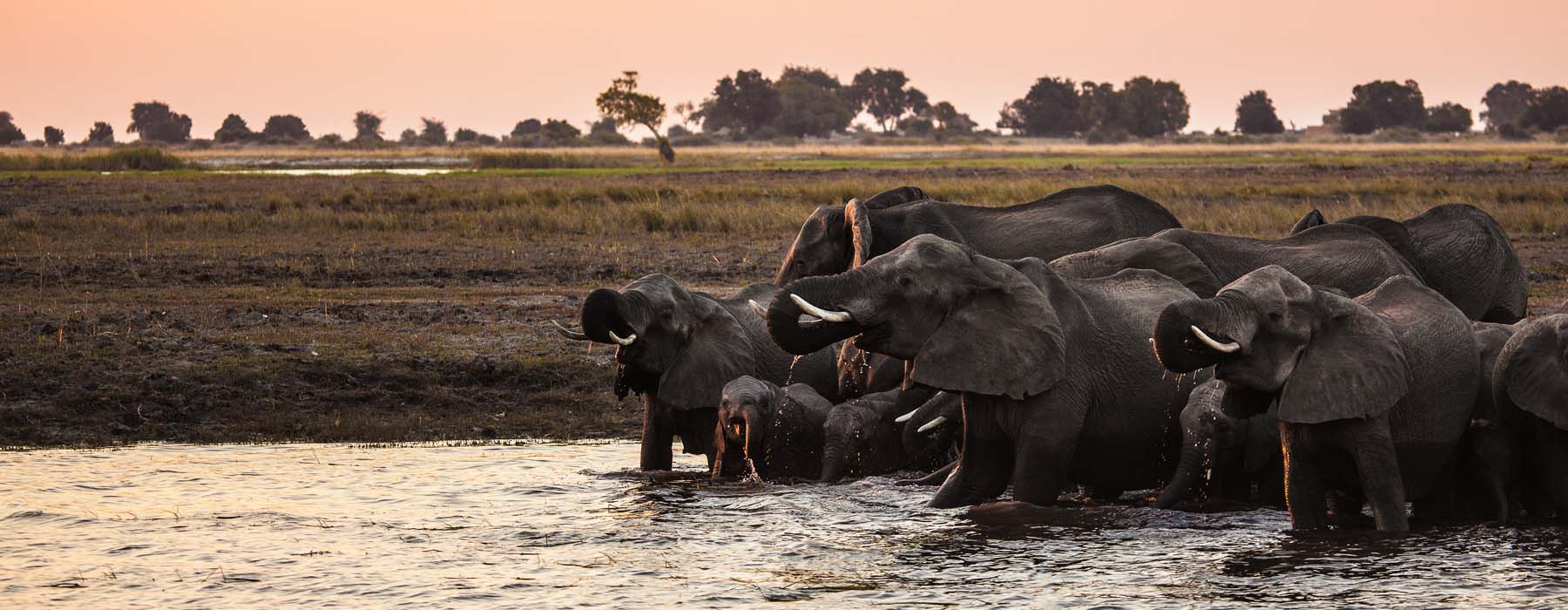 Botswana<br class="hidden-md hidden-lg" /> Riding Safaris