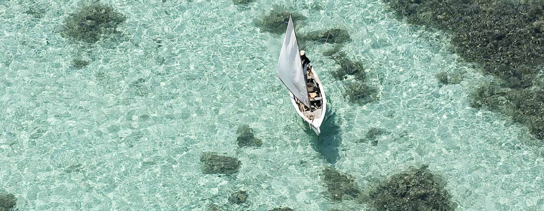 Mauritius<br class="hidden-md hidden-lg" /> Safari & Beach Holidays