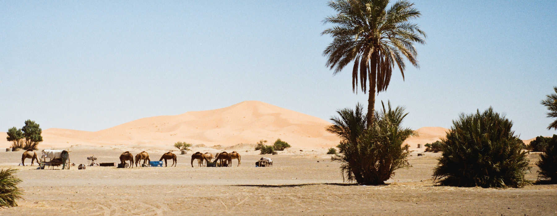 Ouarzazate & the Southern Desert<br class="hidden-md hidden-lg" /> Holidays