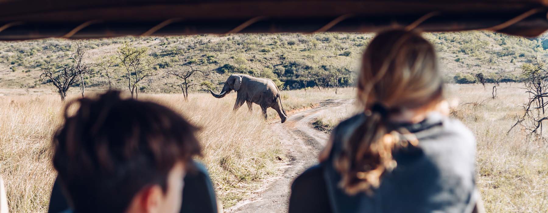 South Africa<br class="hidden-md hidden-lg" /> Big Five Safaris