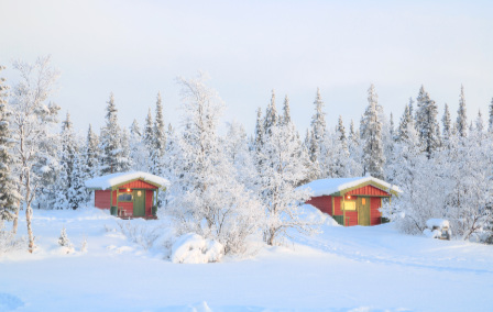 Best Time to Visit Swedish Lapland