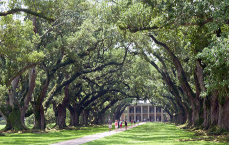 Top Eight Things to Do in Louisiana