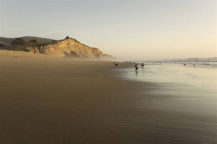 Big Sur beach