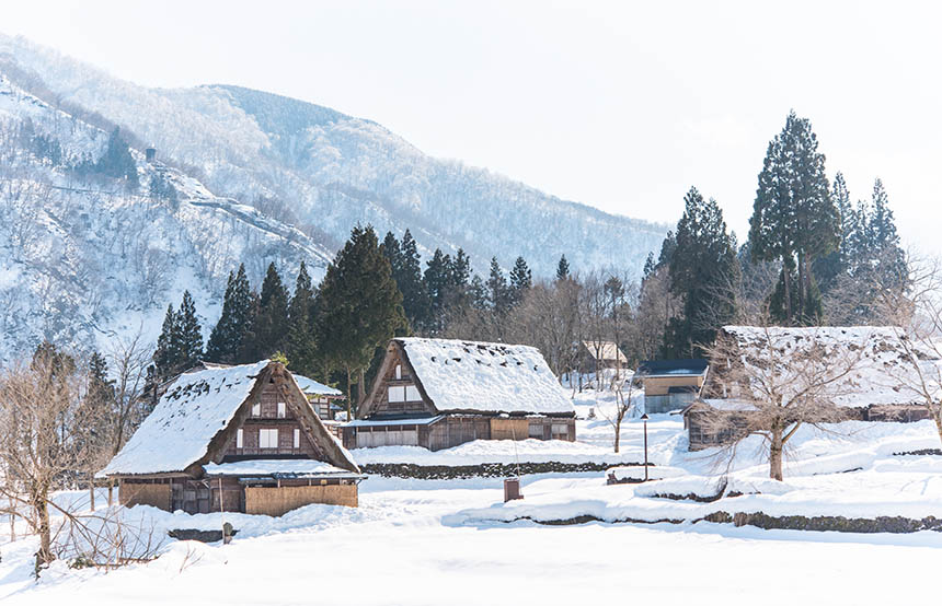 Winter in Japan