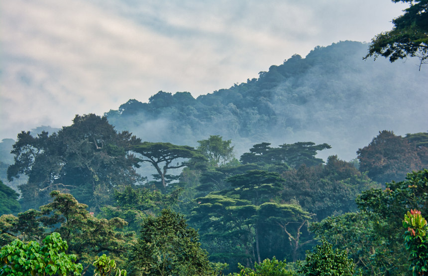 Bwindi, Uganda