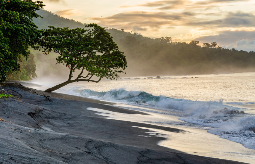 Tangkoko Nature Reserve