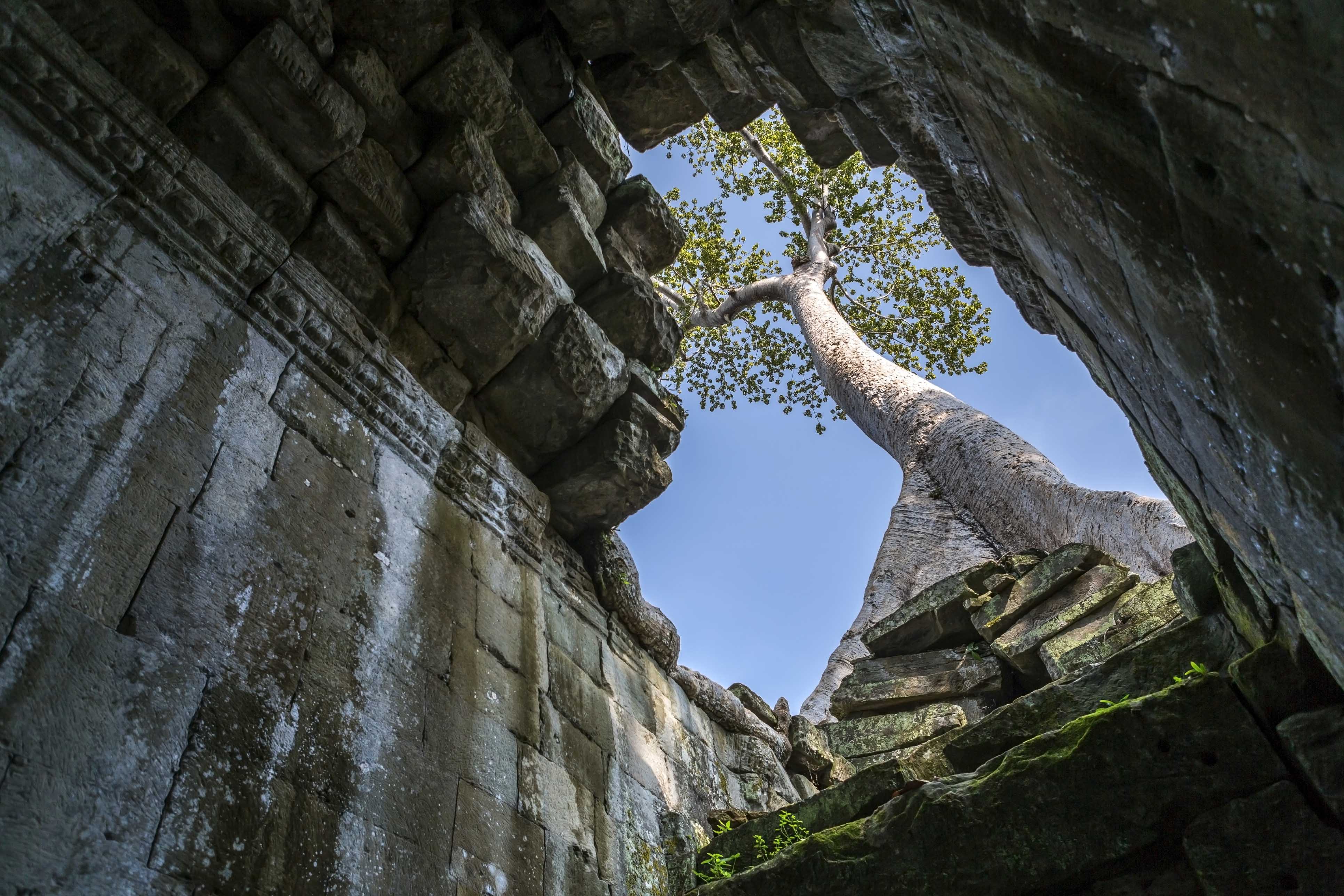 Temple in Angkor Wat