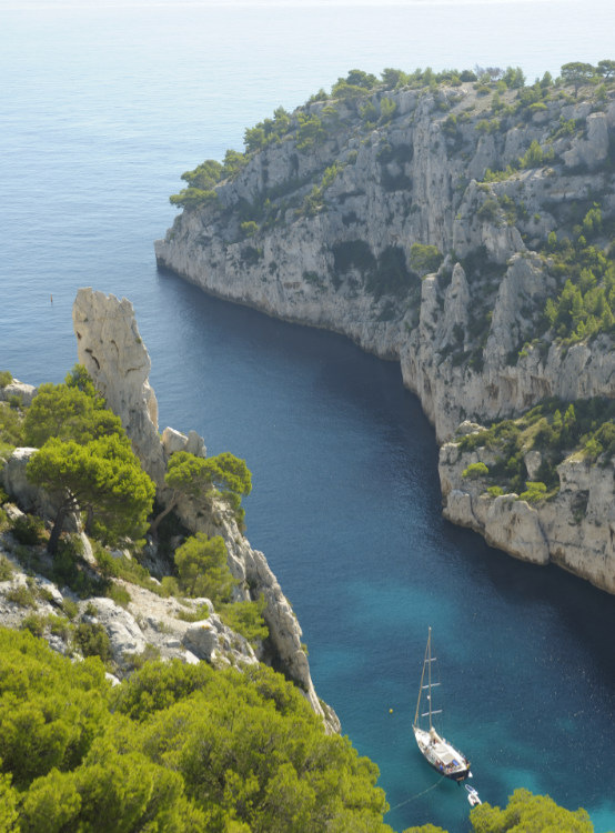 Cassis