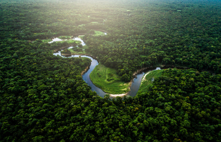 The Amazon