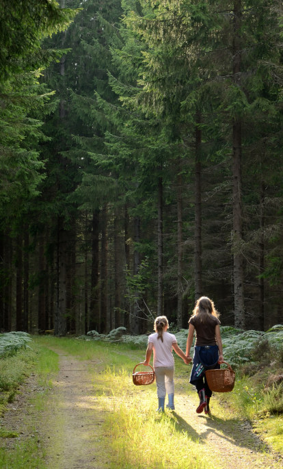 Easter Family Holidays