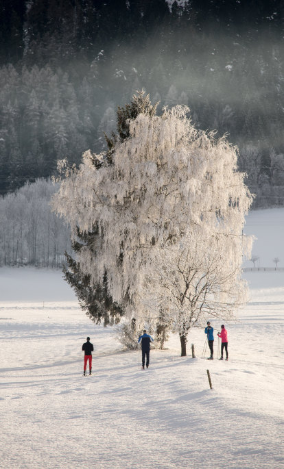 Family Winter Holidays
