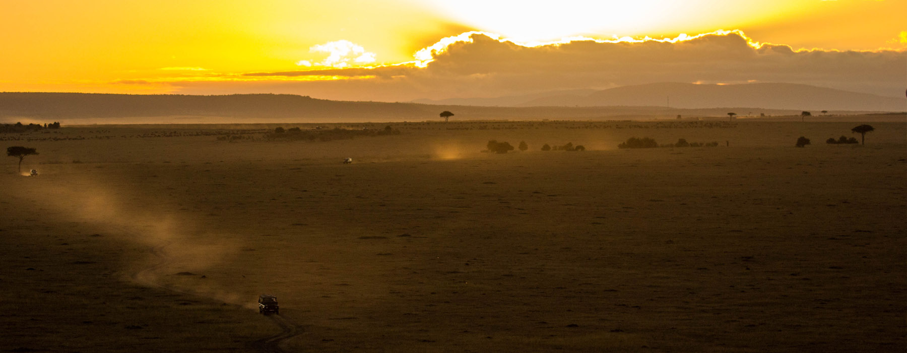  Serengeti Safari holidays