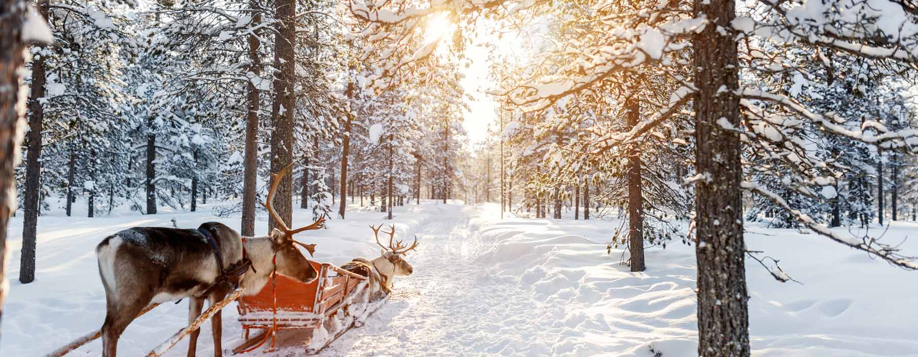 Family Father Christmas in Finland