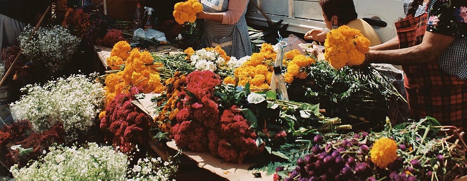 Solola Market