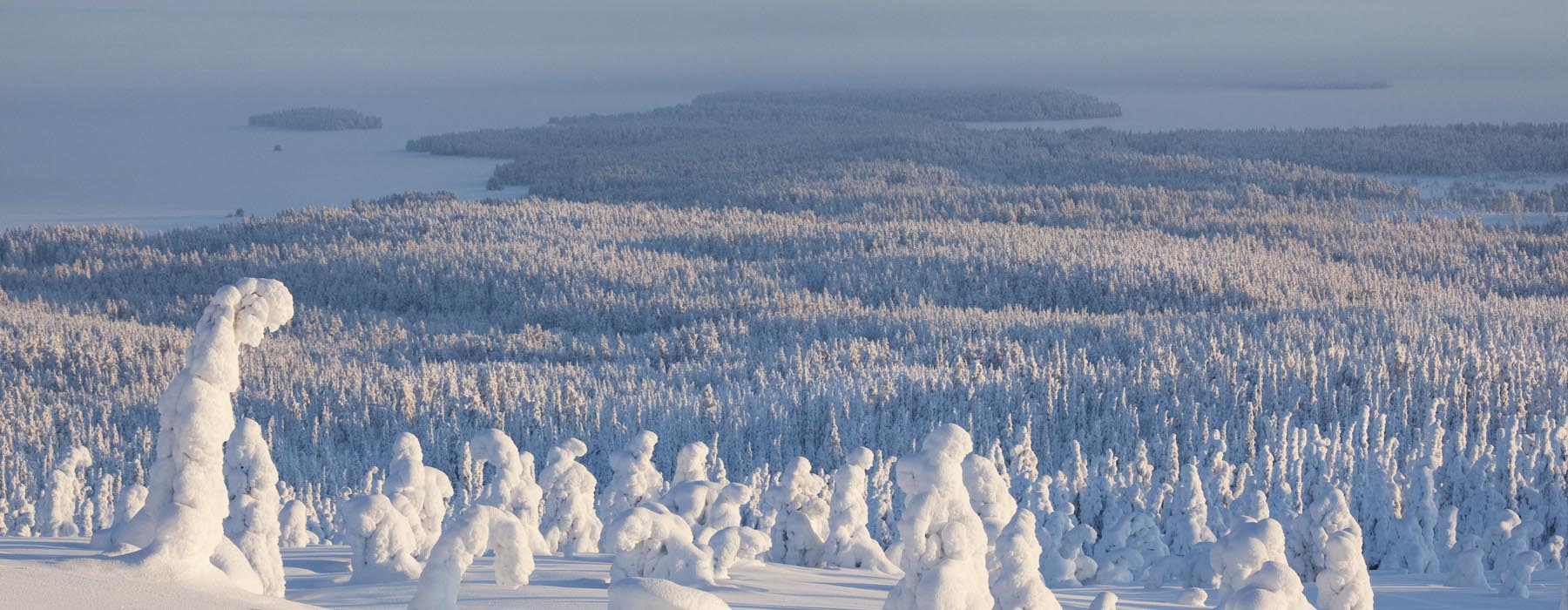  Christmas Lapland Holidays