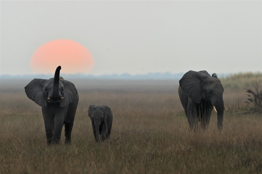 Must-sees in Botswana Before it is Too Late