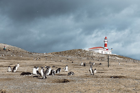 Must-sees in Chile before it's too late