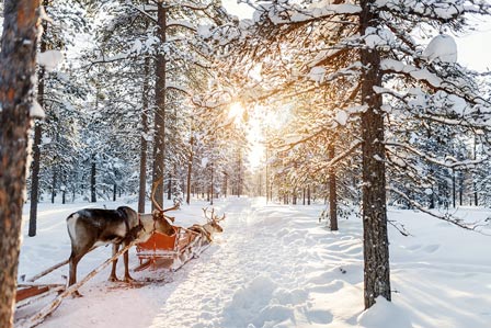 Must-sees in Finland Before it's Too Late