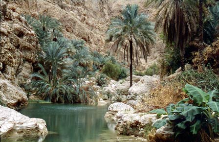 Top Five Wadis in Oman
