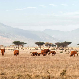 Kenya