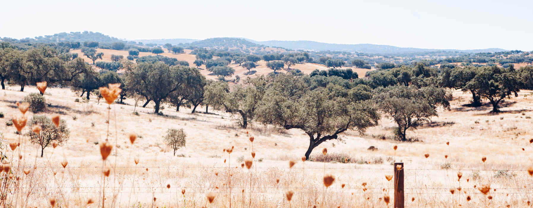  Alentejo Holidays