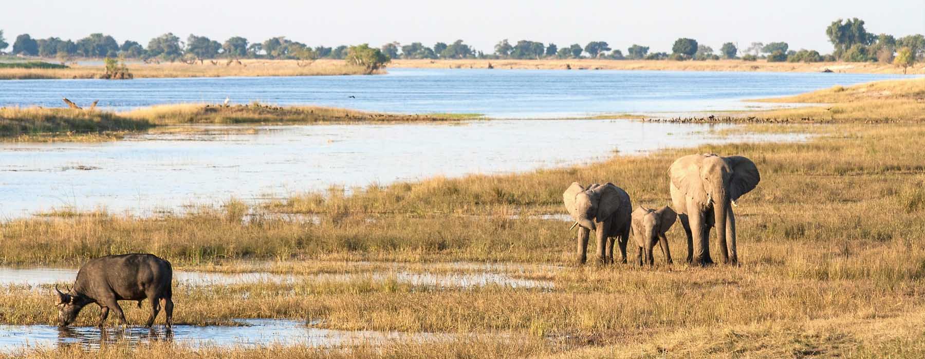 Chobe National Park and Linyanti River Holidays