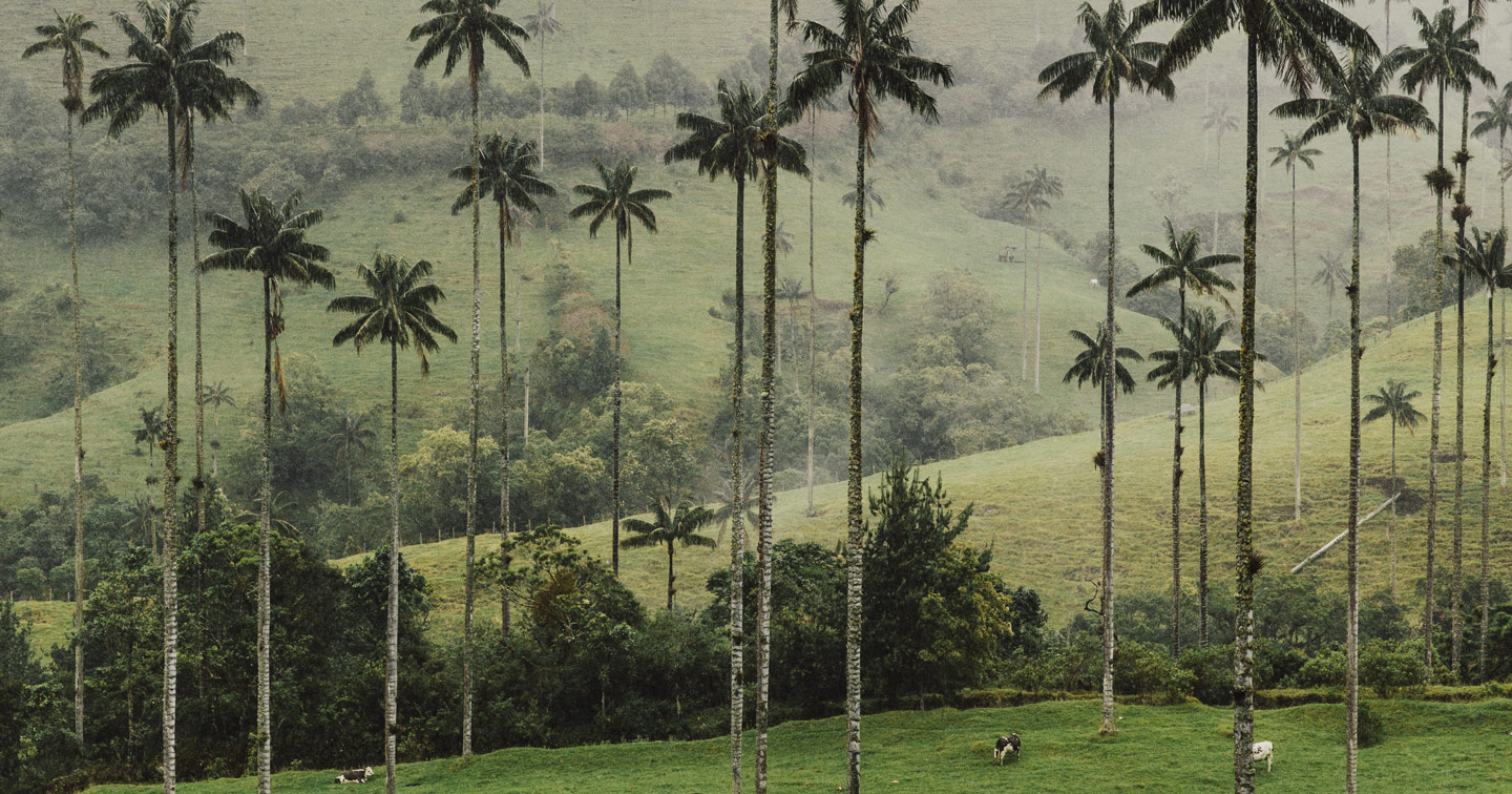  Colombia Holidays