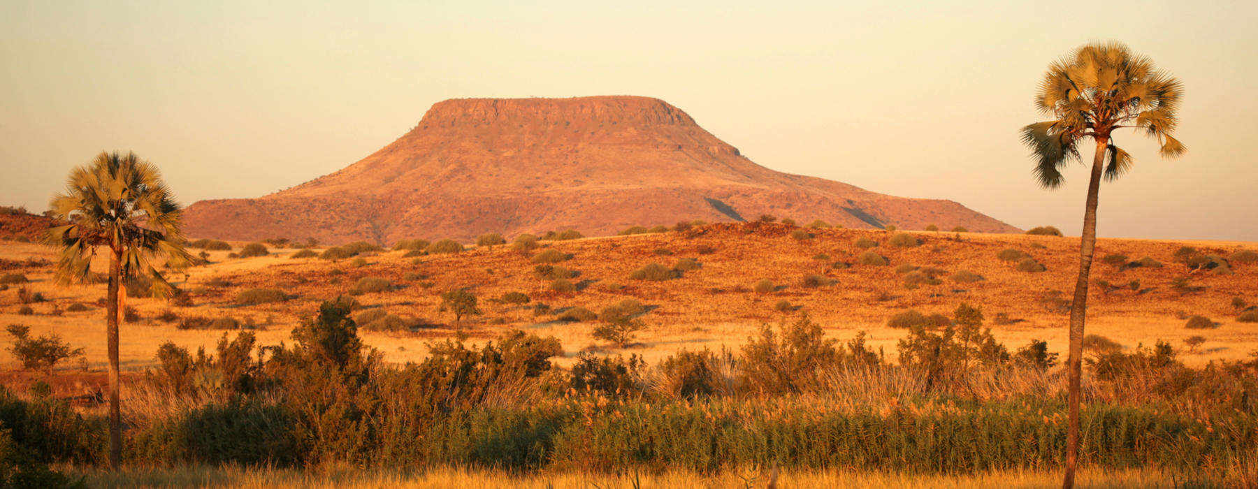 Etosha National Park Holidays