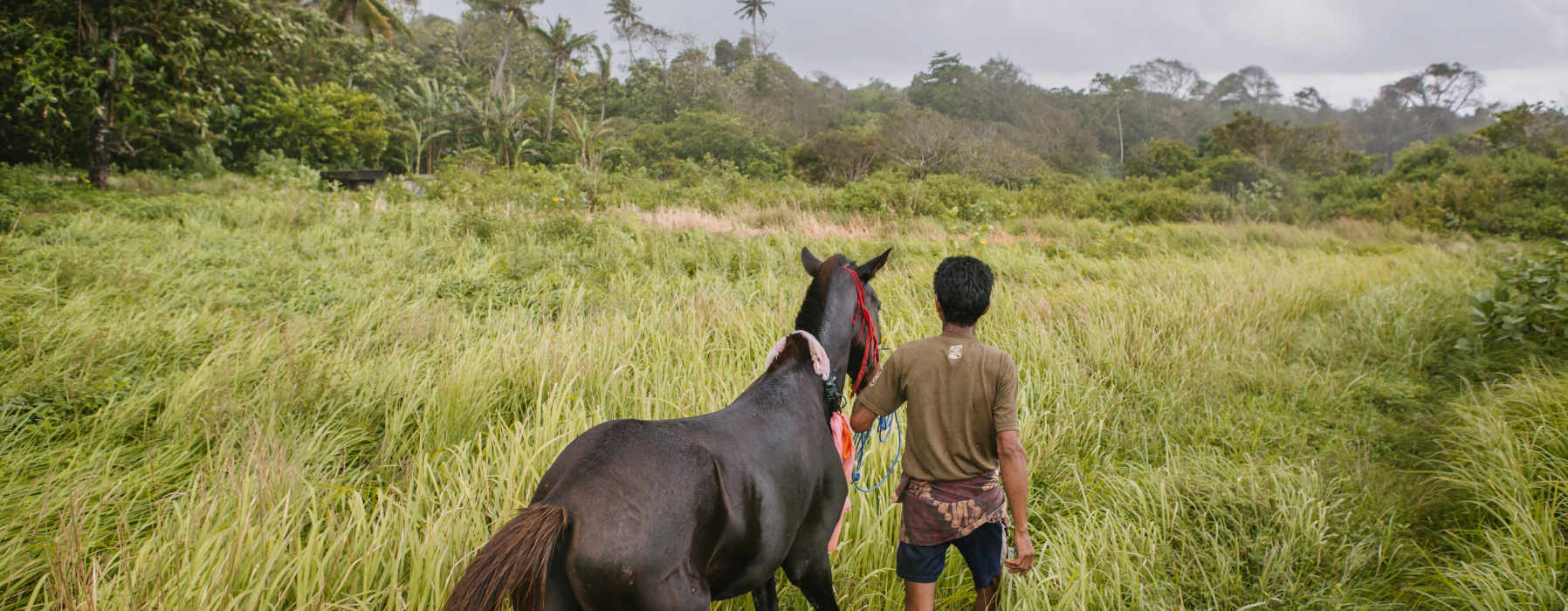  Kalimantan holidays