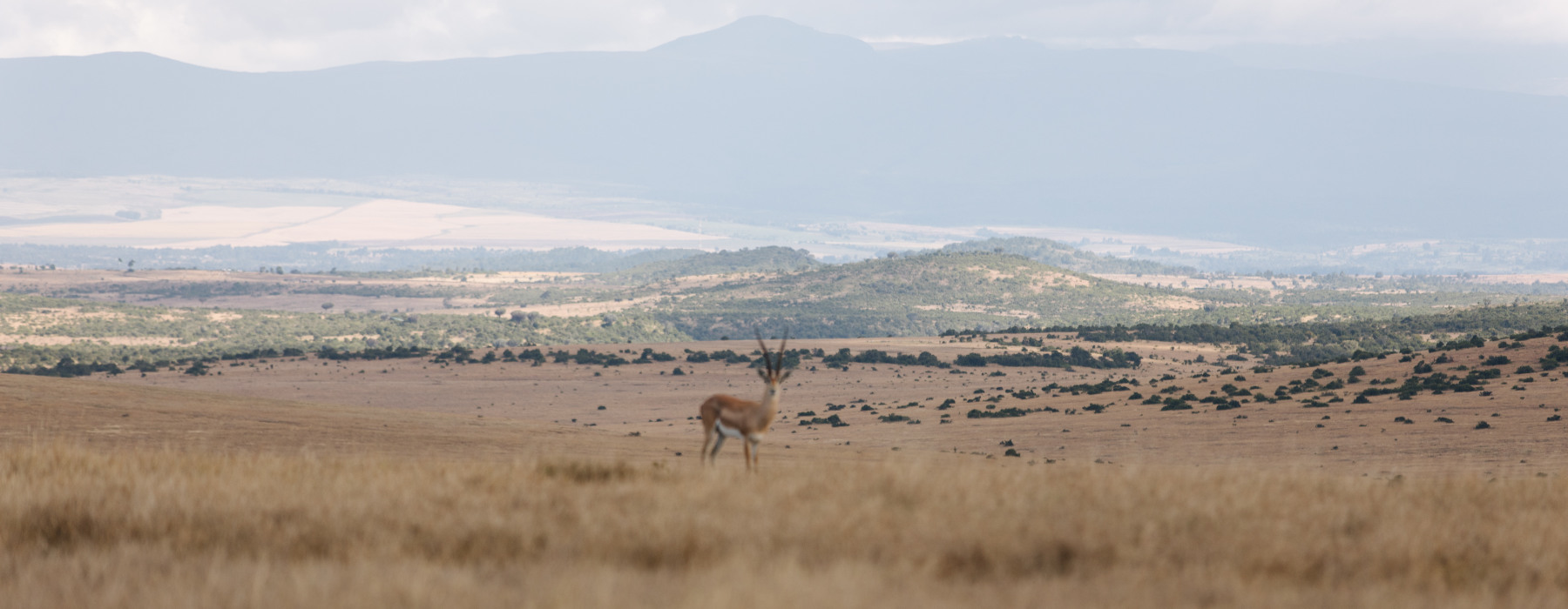 Kenya<br class="hidden-md hidden-lg" /> Back to Nature