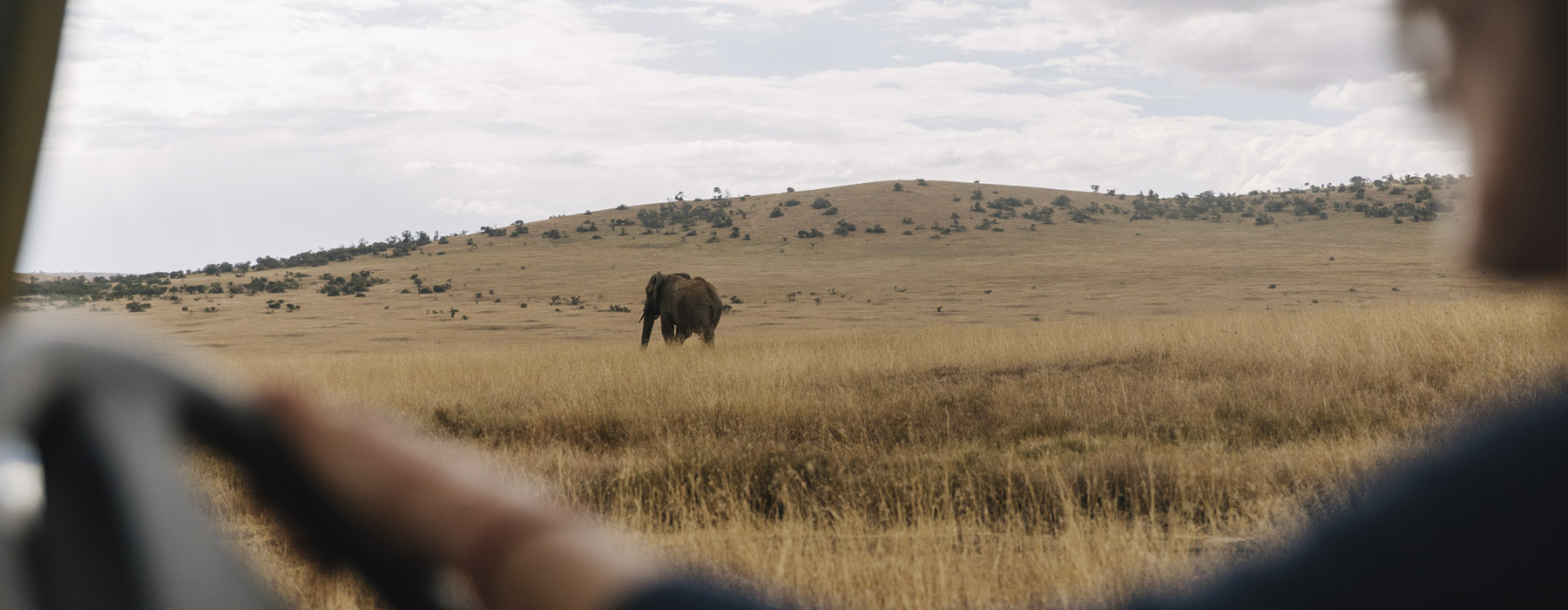  Laikipia Holidays