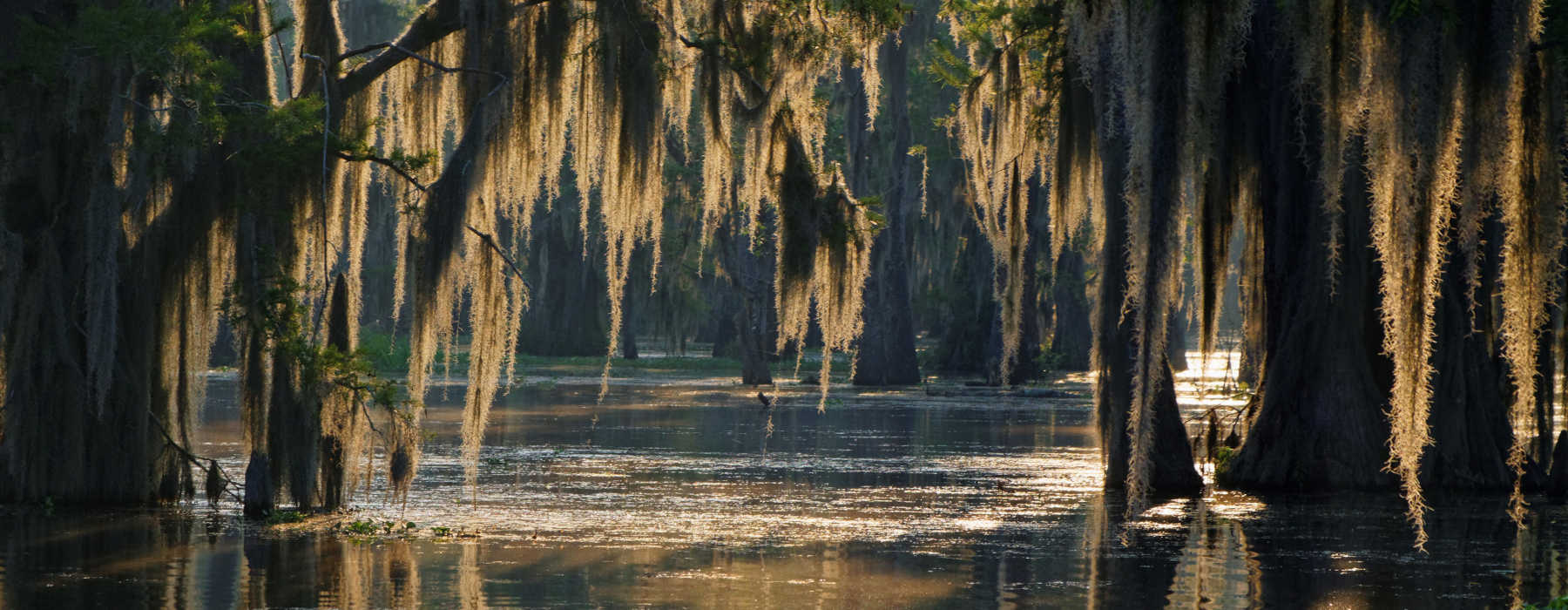 Louisiana and the Deep South<br class="hidden-md hidden-lg" /> Holidays