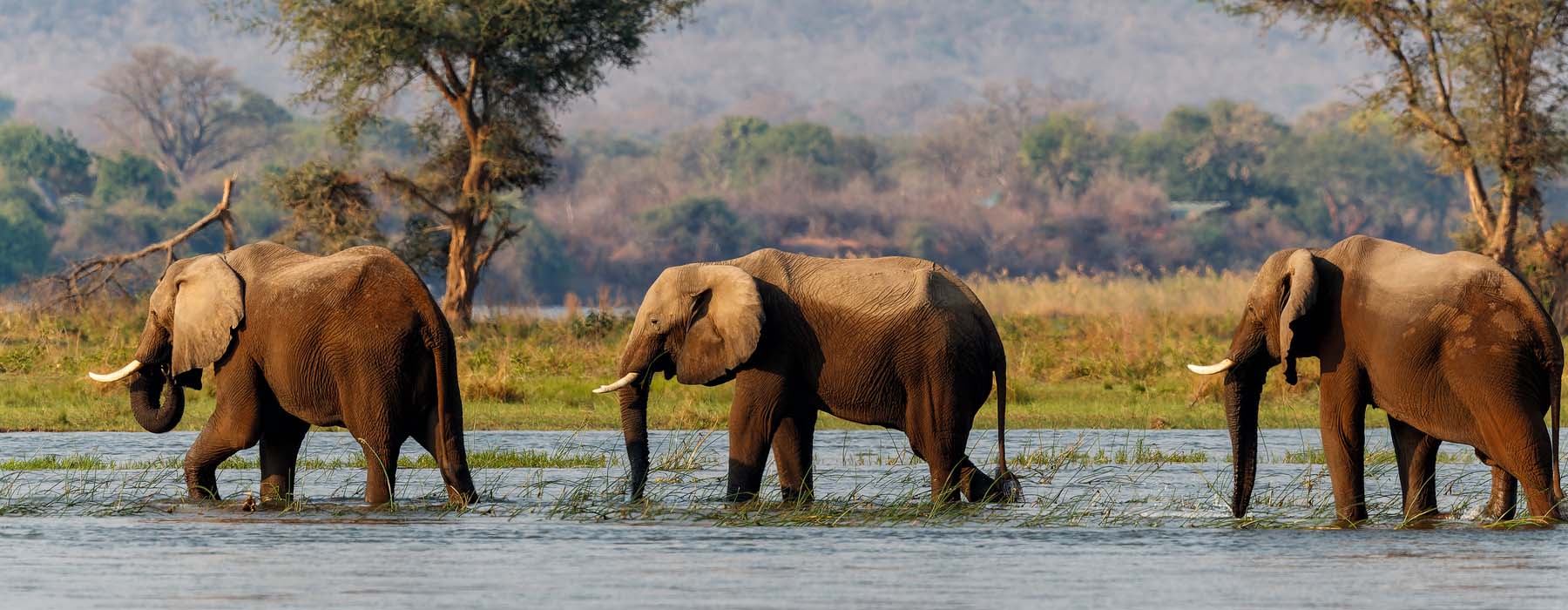  Mana Pools holidays