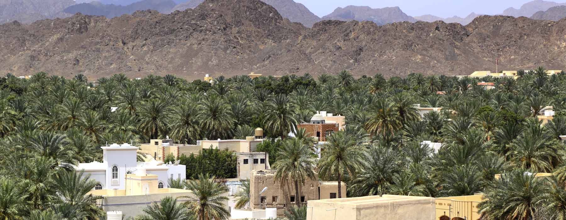 Nizwa, the Mountains and the Wahiba Sands Holidays