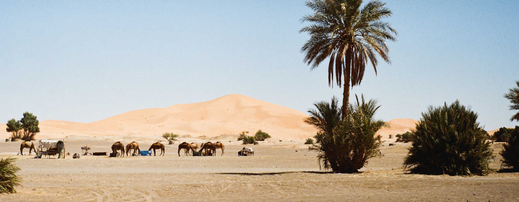  Ouarzazate & the Southern Desert Holidays