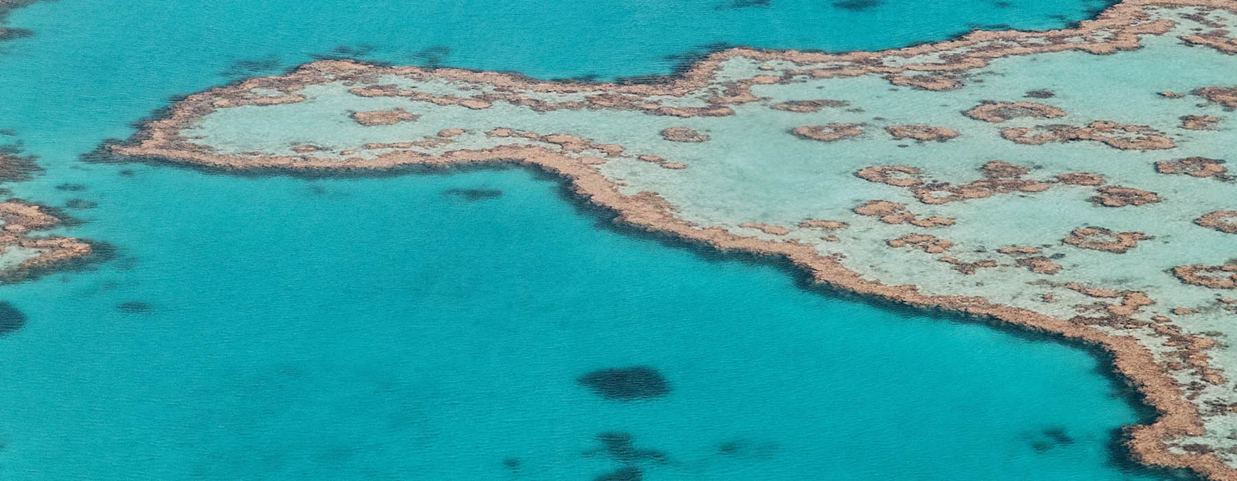 Queensland & Great Barrier Reef Holidays TailorMade Original Travel