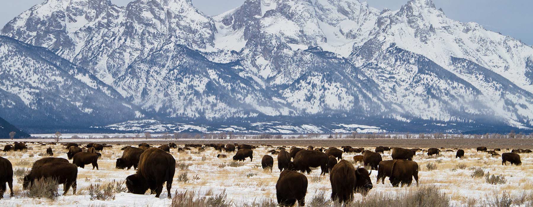 Rocky Mountains and the North-West Holidays