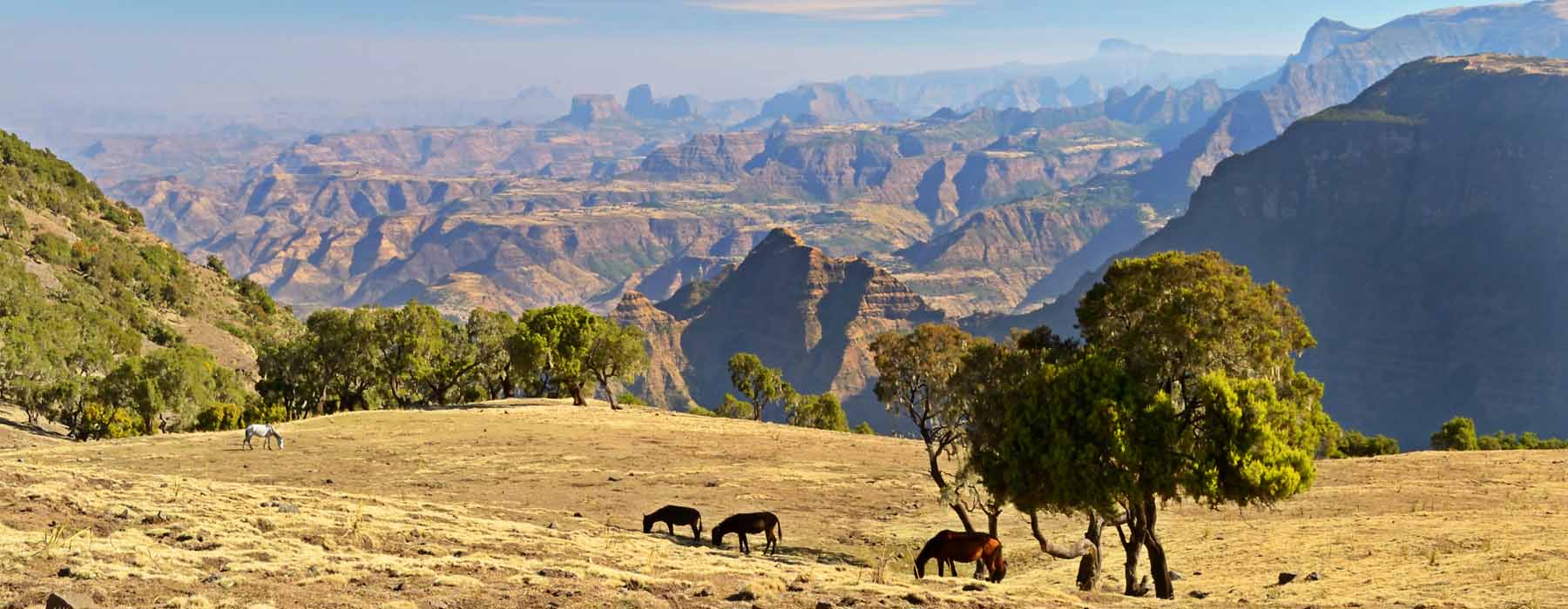  Simien Mountains holidays