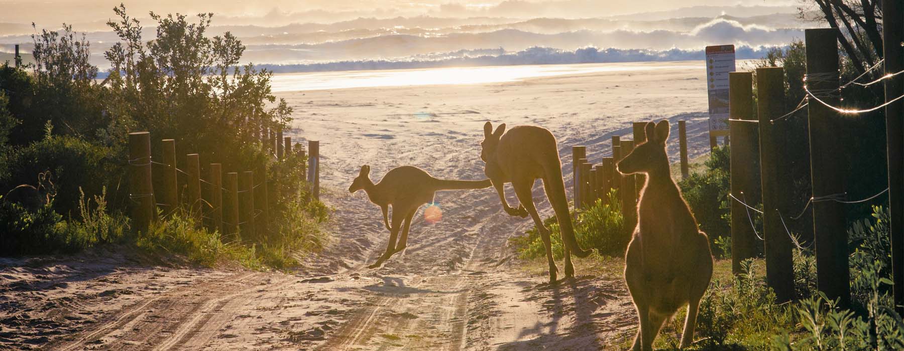  South Australia Holidays