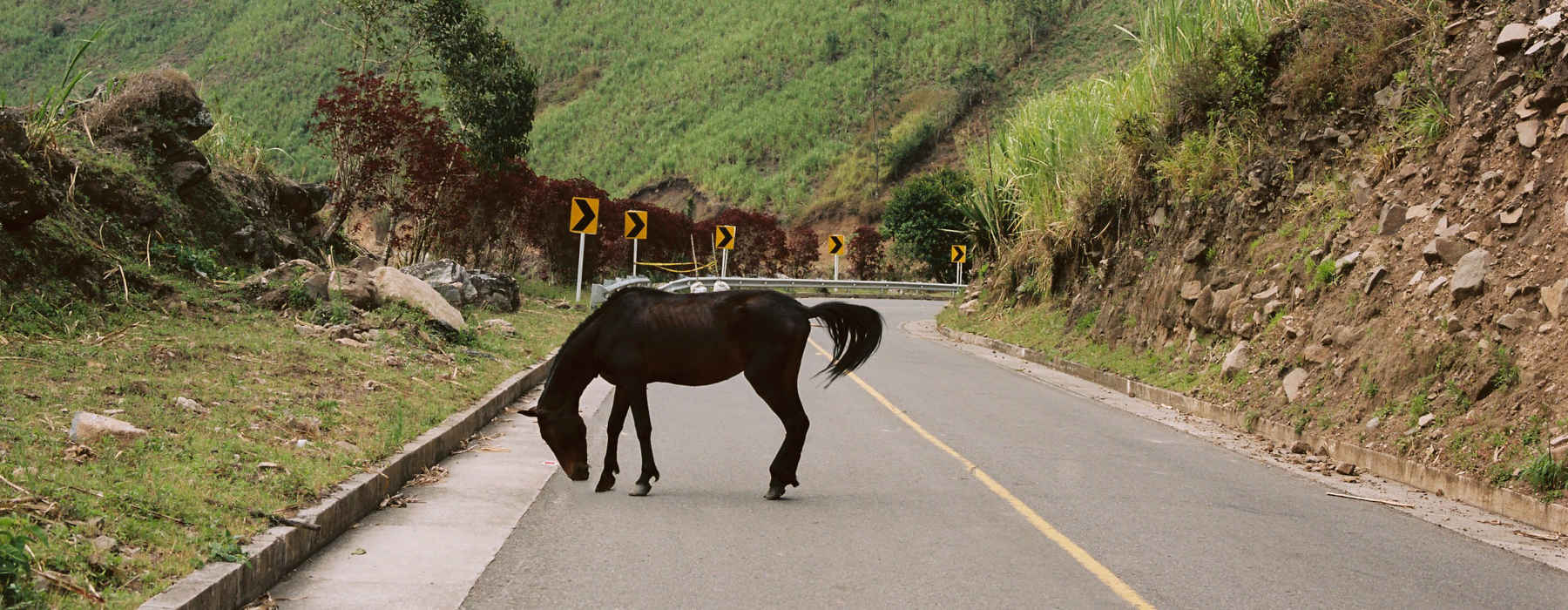  Southern Colombia holidays