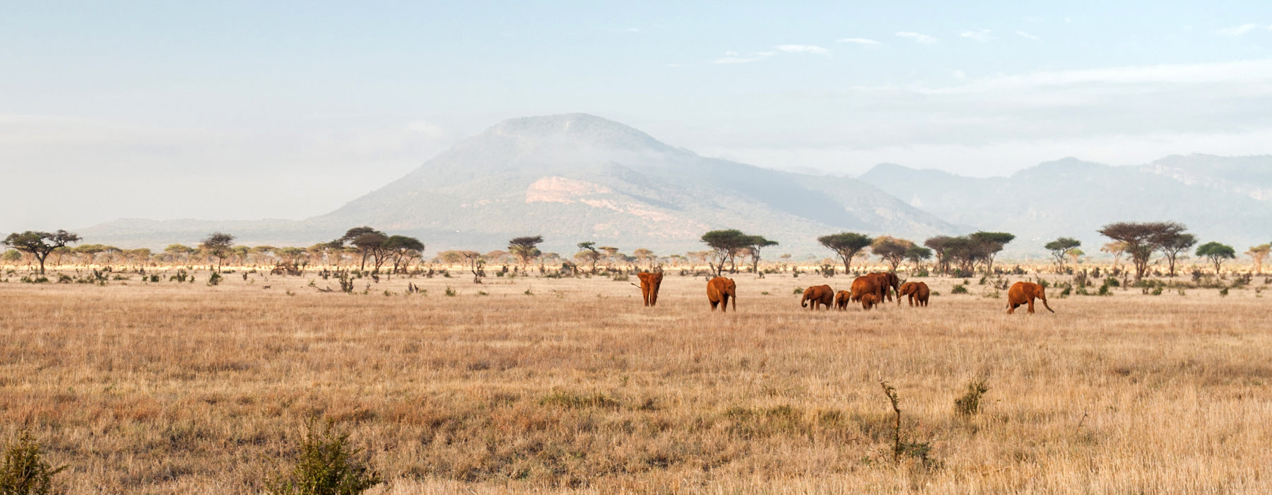 Southern Kenya Holidays