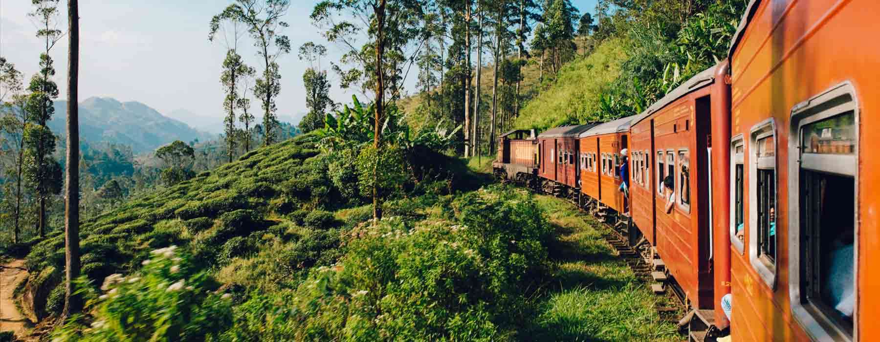 Sri Lanka<br class="hidden-md hidden-lg" /> Summer Holidays