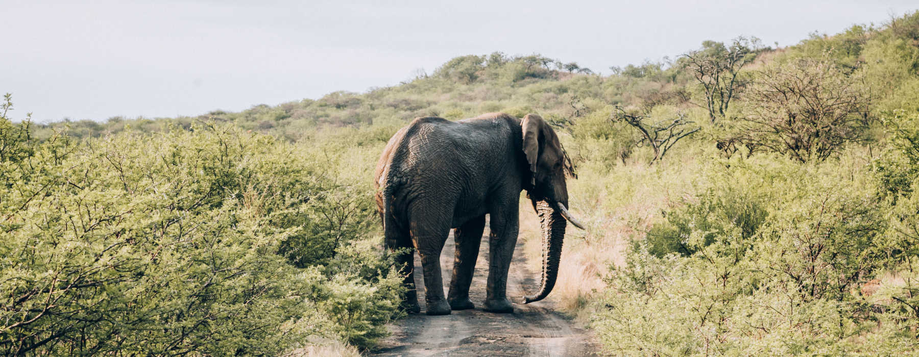  The Drakensburg Mountains and KwaZulu-Natal Holidays