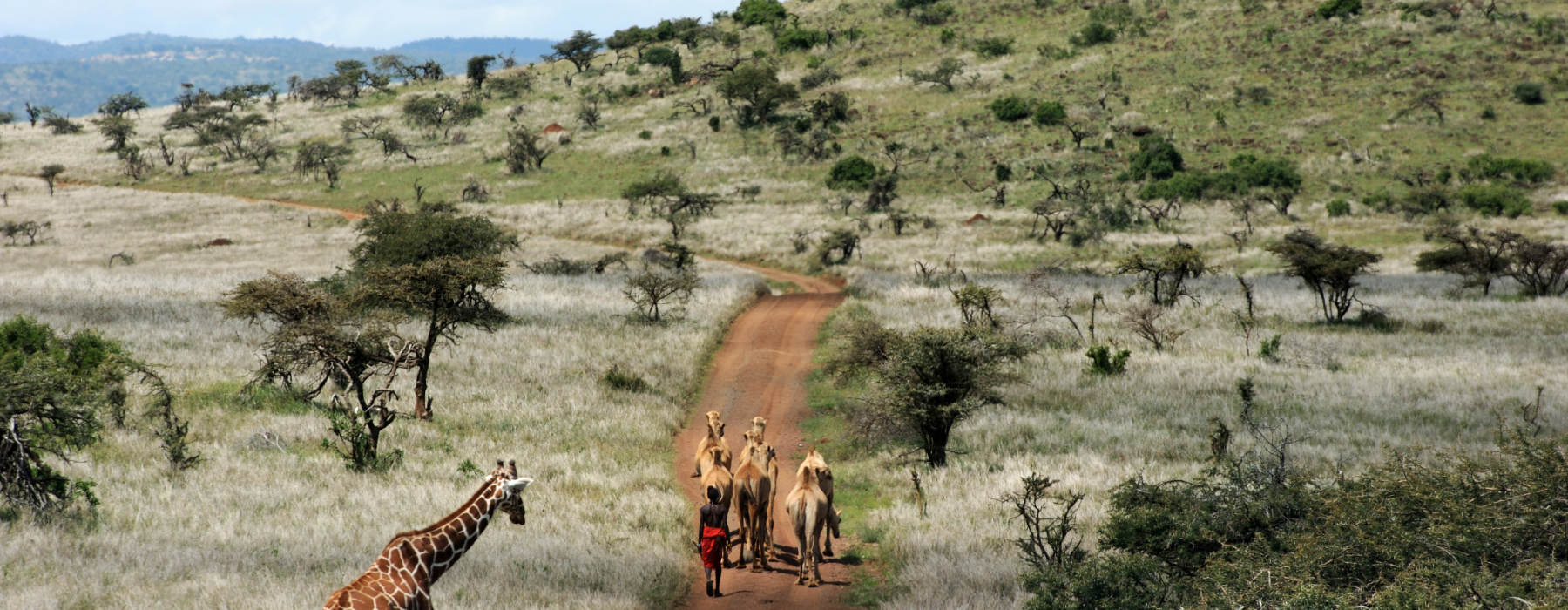 The Masai Mara<br class="hidden-md hidden-lg" /> Holidays