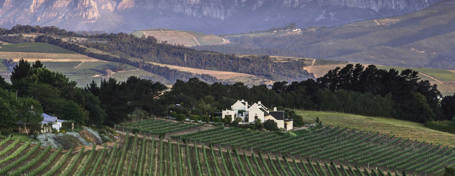 The Winelands and Cape<br class="hidden-md hidden-lg" /> Holidays