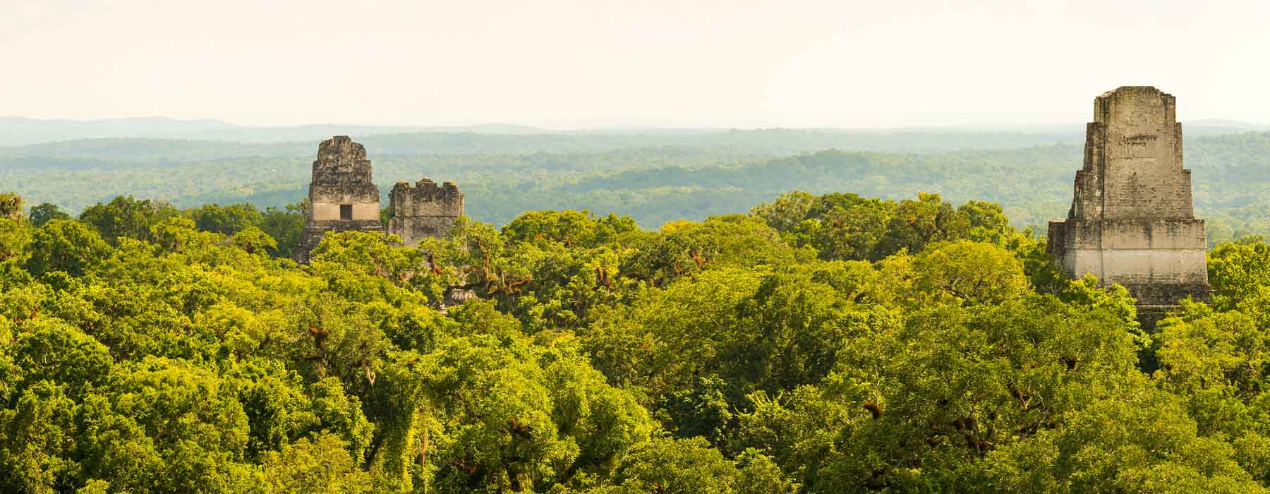  Tikal National Park holidays