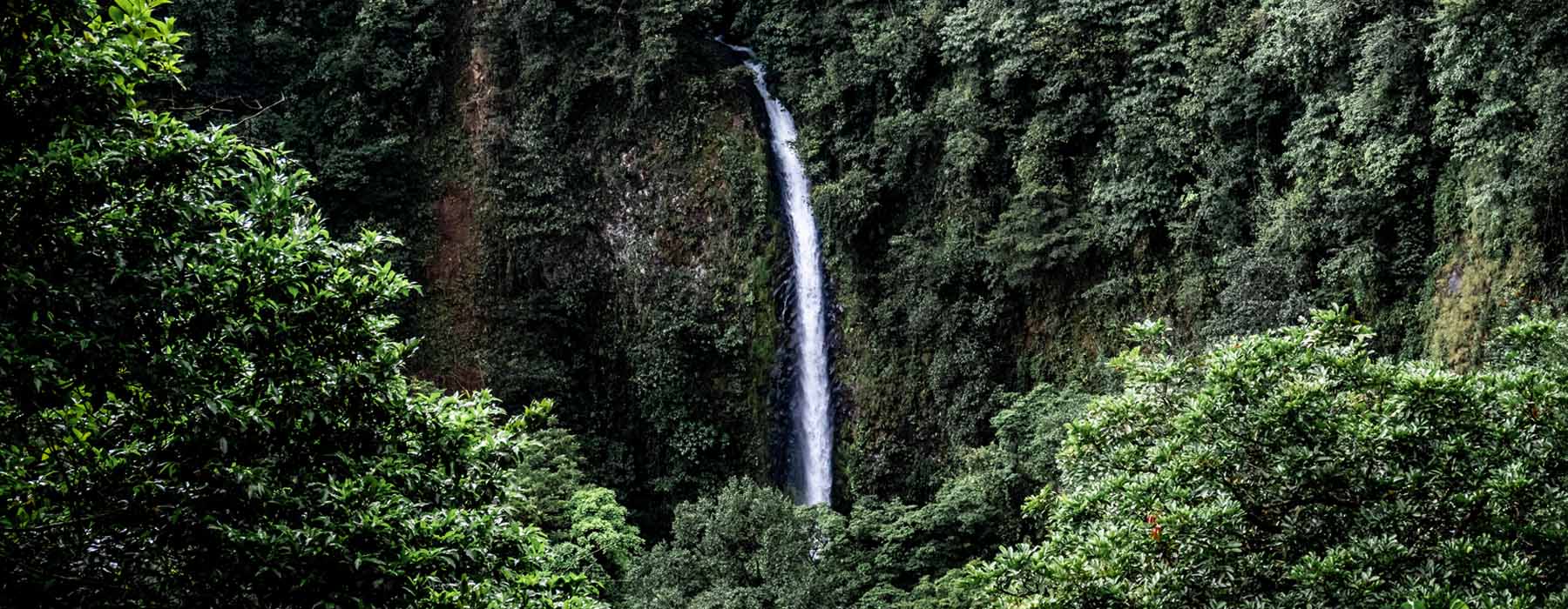  Tortuguero National Park Holidays