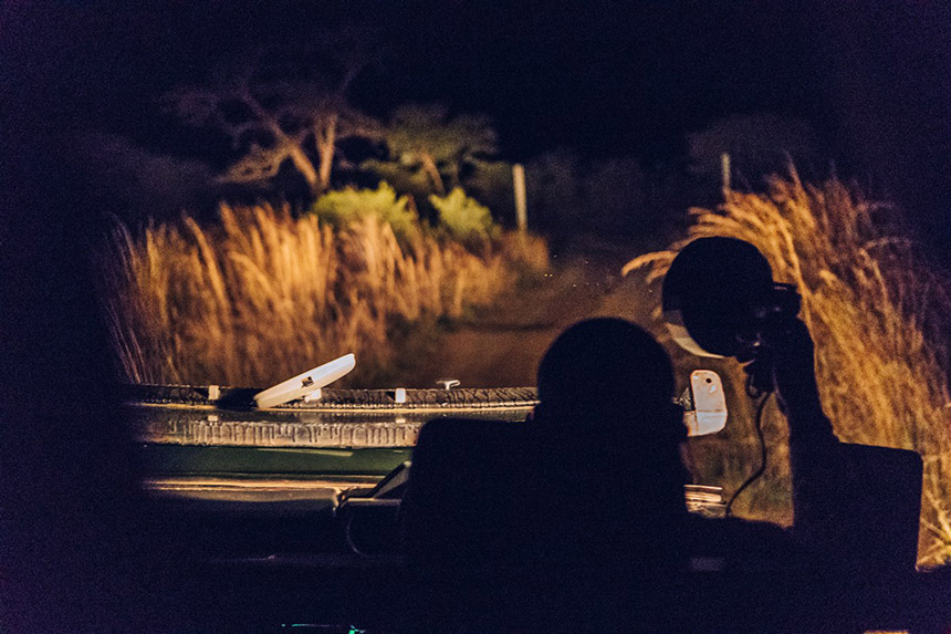 Guided night safari in South Africa