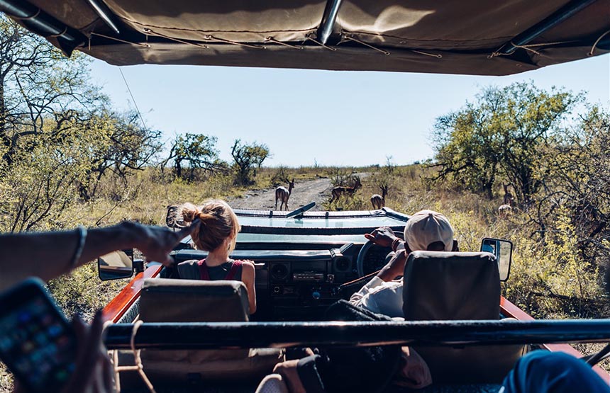 4x4 safari in South Africa
