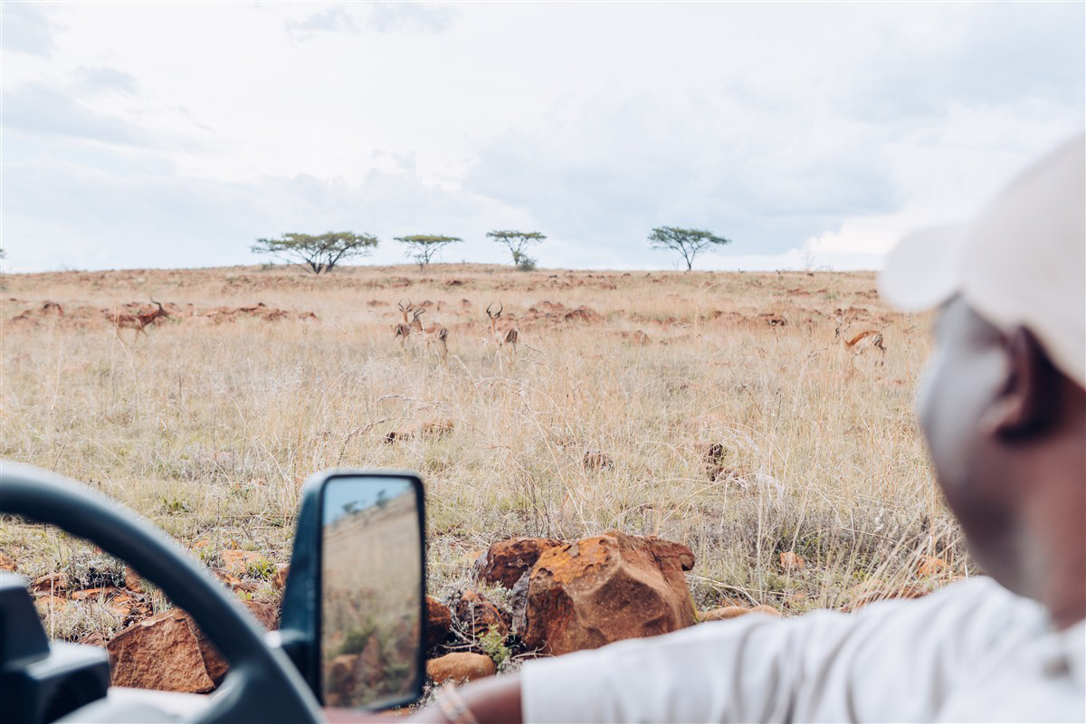 Photographing from vehicle  